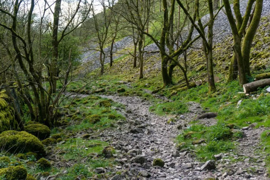 Wolfscote Dale Walk From Hartington In 10 Easy Steps | AverageLives